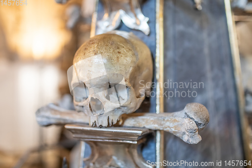 Image of Human skulls and bones in ossuary Sedlec Kostnice