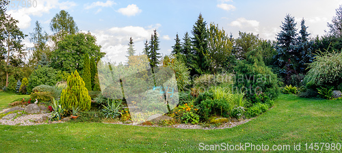 Image of autumn in garden. Fall concept gardening