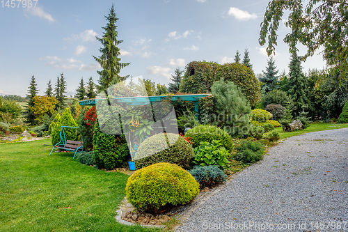 Image of autumn in garden. Fall concept gardening