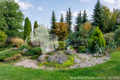 Image of autumn in garden. Fall concept gardening