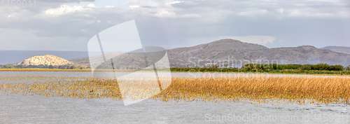 Image of panorama of ethiopian lake Ziway, Ethiopia