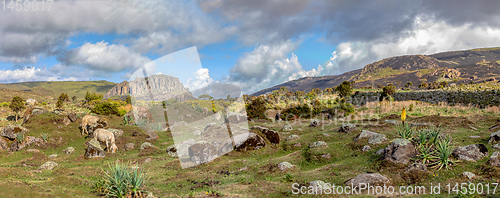 Image of beautiful landscape of Bale Mountain