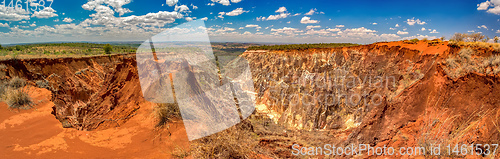 Image of Ankarokaroka canyon Ankarafantsika, Madagascar