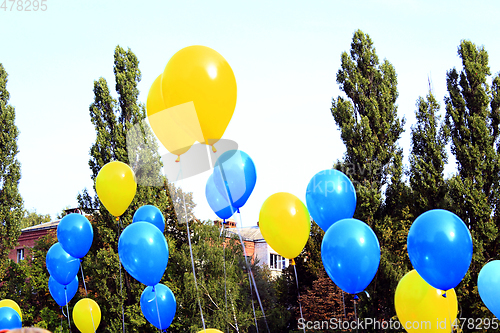 Image of color balloons on the holiday of the 1st September