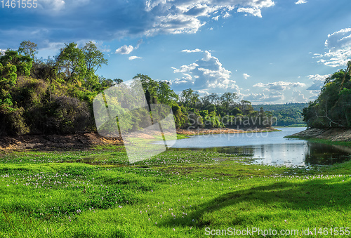 Image of Rainforest in Ankarafantsika park, Madagascar