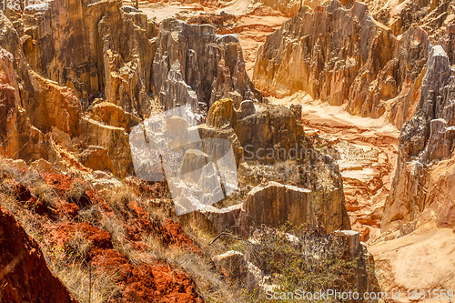 Image of Ankarokaroka canyon Ankarafantsika, Madagascar