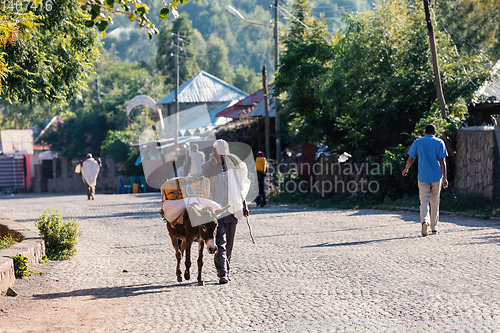 Image of early morning on Lalibela street, Ethiopia