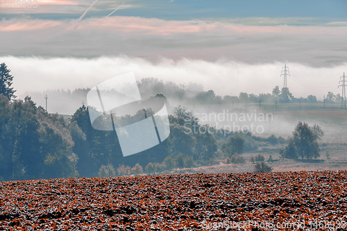 Image of Fall foggy and misty sunrise landscape