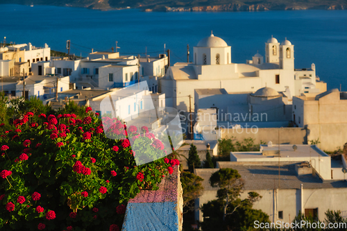 Image of View of Plaka village on Milos island over red geranium flowers on sunset in Greece