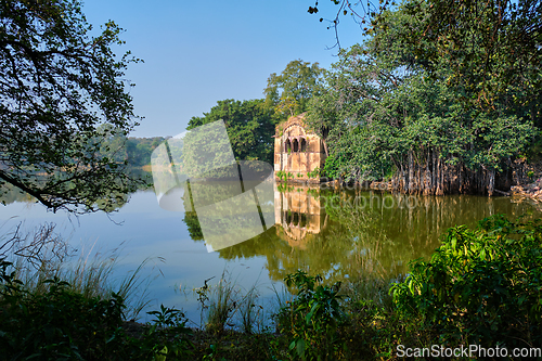 Image of Padma Talao lake with ruins of fort. Tropical green and trees of reserve. Ranthambore National Park, Rajasthan, India