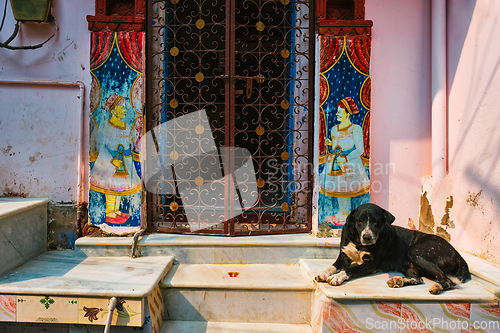 Image of Dog in front of a house door in India