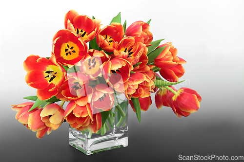 Image of Easter and Spring Red and Yellow Tulip Flower Arrangement