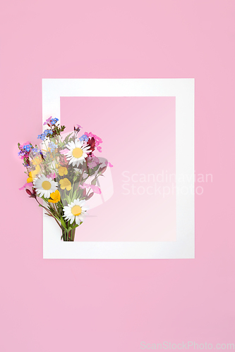 Image of English Spring Wildflower Background Border Composition