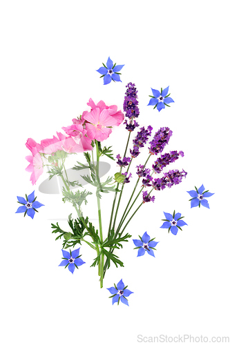 Image of Wildflowers for Natural Skincare Healing