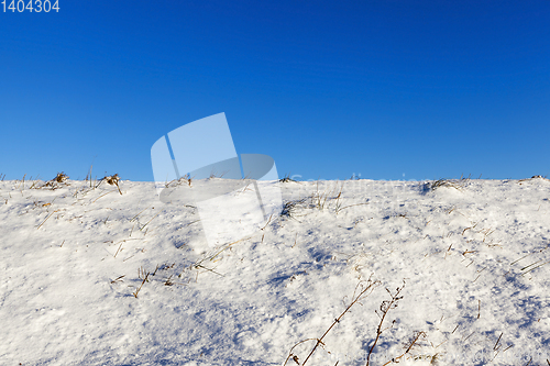 Image of Photo of snow, close-up