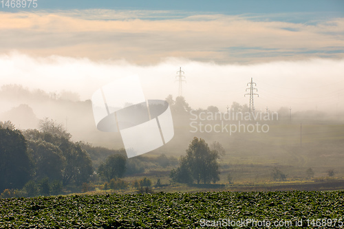 Image of Fall foggy and misty sunrise landscape