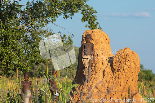 Image of Himba boys, indigenous namibian ethnic people, Africa