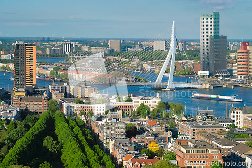 Image of View of Rotterdam city and the Erasmus bridge