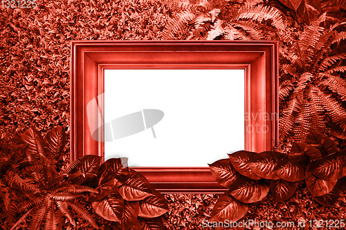 Image of Living coral color background from leaves