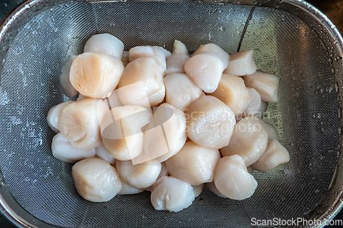 Image of raw scallops prepared for party