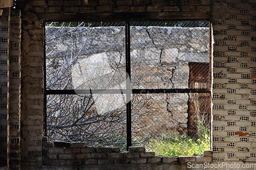 Image of overgrown garden abandoned interior