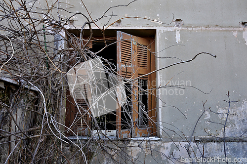 Image of peeling wall and broken window shutter