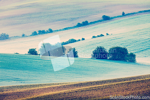 Image of Moravian rolling fields in morning mist