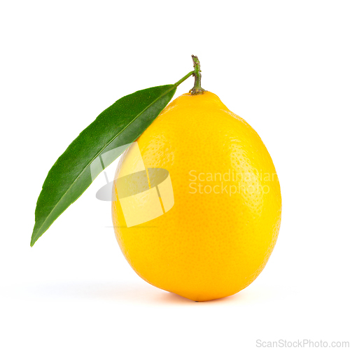 Image of Yellow lemon with leaf isolated