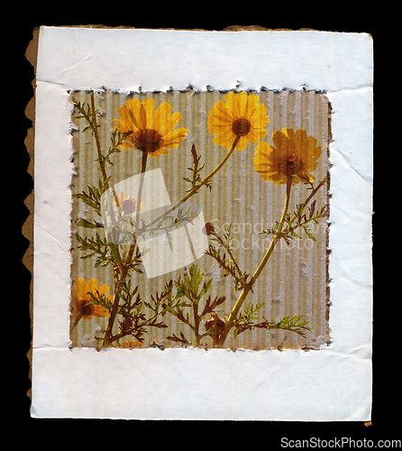 Image of wild flowers cardboard frame