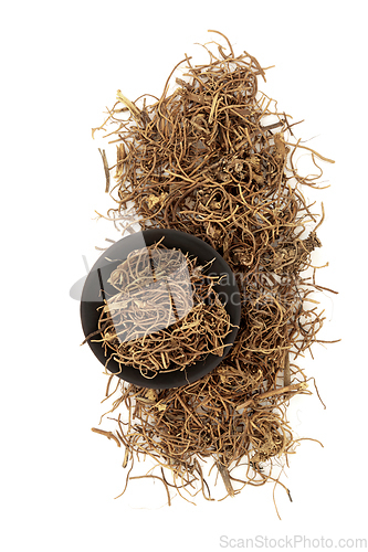 Image of Cynanchum Herb Chinese Herbal Plant Medicine