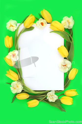 Image of Trendy Tulip and Narcissus Flower Abstract Spring Border