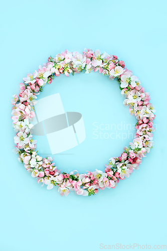 Image of Spring Wreath with Apple Blossom Flowers