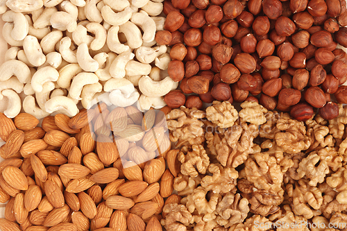 Image of Different nuts (almons, cashews, walnuts and filbers) close up