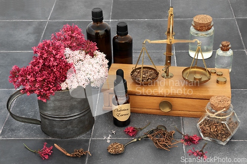 Image of Preparing Valerian Root to Treat Anxiety and Stress