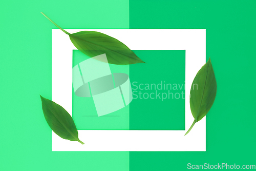 Image of Go Green for Clean Energy Abstract Background with Leaves