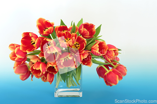 Image of Beautiful Spring Vivid Tulip Flower Arrangement