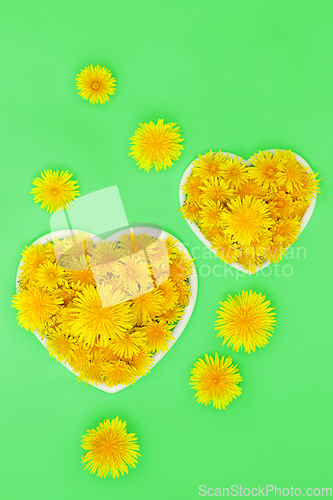 Image of Dandelion Flowers for Low Cholesterol and Blood Pressure