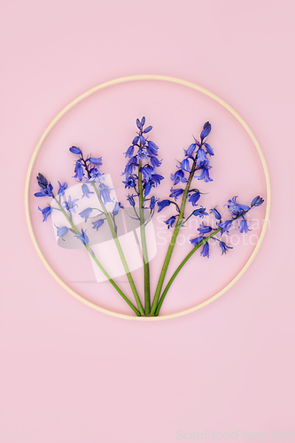 Image of Spring Bluebell Flower Logo Design Composition  