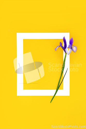 Image of In Memorium RIP Funeral Iris Flower Background Frame