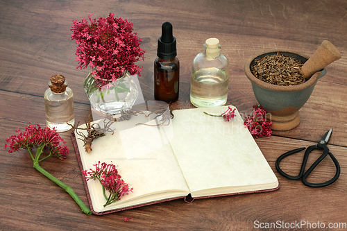 Image of Valerian Plant Medicine for Natural Herbal Remedies