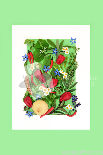 Image of Plant Based Herbs Wildflowers and Spice Food Seasoning Backgroun