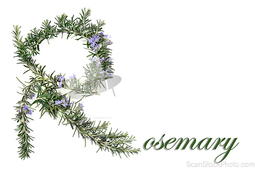 Image of Rosemary Herb Herbal Medicine Abstract