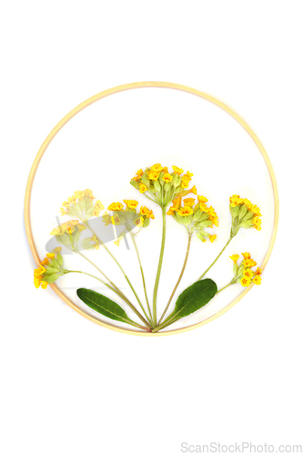 Image of Cowslip Wildflowers Endangered Species Flower Arrangement