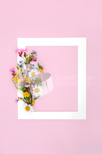 Image of European Wildflower Posy Astract Background Border  