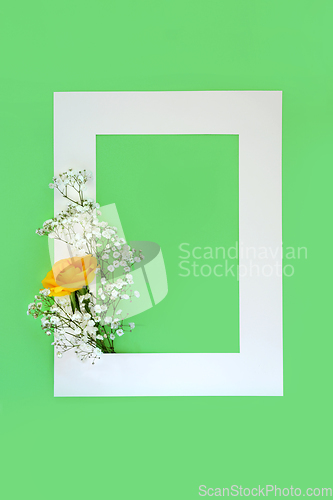 Image of Creative Abstract Spring Floral Background Border  