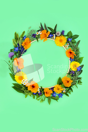 Image of Herb and Flower Wreath for Natural Plant Medicine