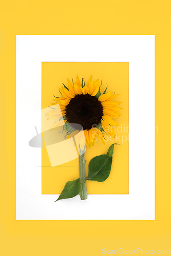 Image of Summer Sunflower Sunshine Background Border Frame