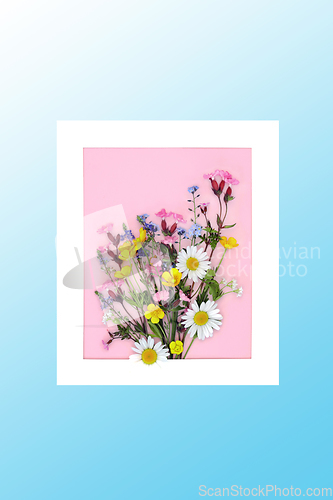 Image of Beautiful Wild Flower Posy Abstract Picture Frame