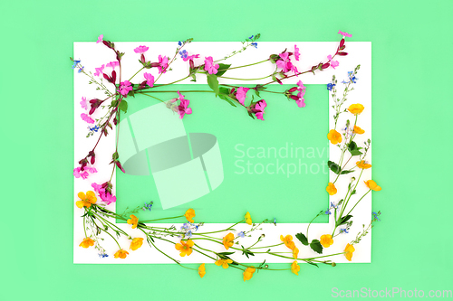 Image of Buttercup Red Campion and Speedwell flower Background Frame