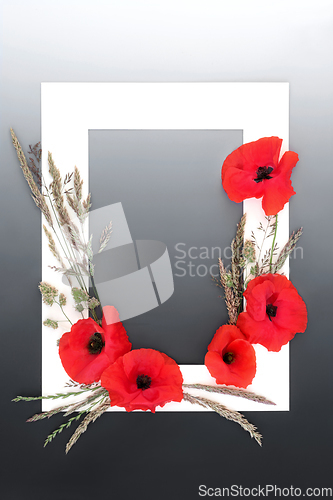 Image of Red Poppy Wildflower and Meadow Grass Background Frame